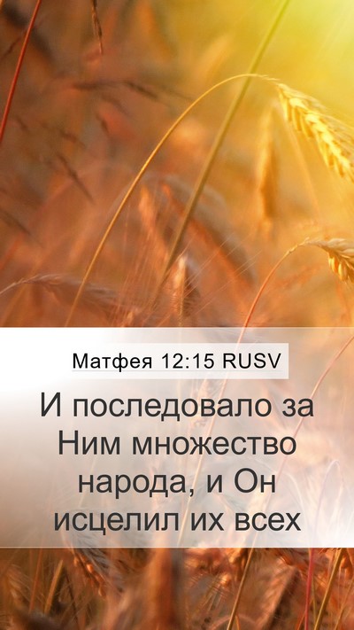 Матфея 12:15 RUSV Bible Verse Image