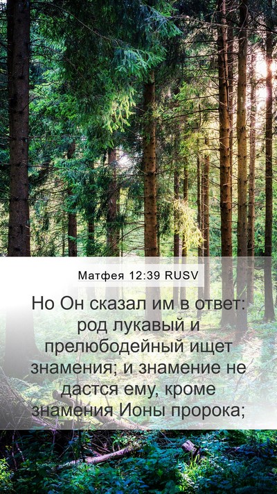 Матфея 12:39 RUSV Bible Verse Image