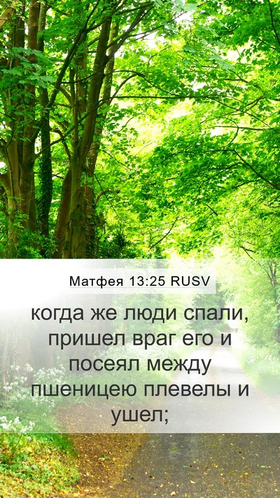 Матфея 13:25 RUSV Bible Verse Image