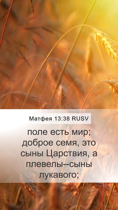 Матфея 13:38 RUSV Bible Verse Image