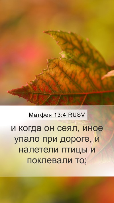 Матфея 13:4 RUSV Mobile Phone Wallpaper - и когда он сеял, иное упало - Mobile Bible Verse Wallpaper