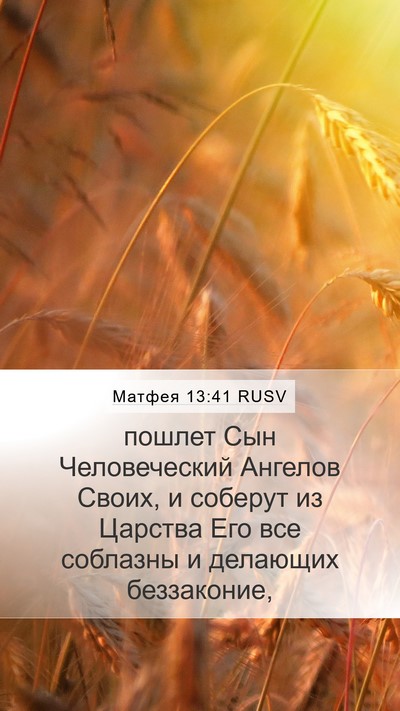Матфея 13:41 RUSV Bible Verse Image