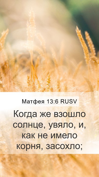 Матфея 13:6 RUSV Bible Verse Image