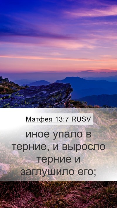 Матфея 13:7 RUSV Bible Verse Image