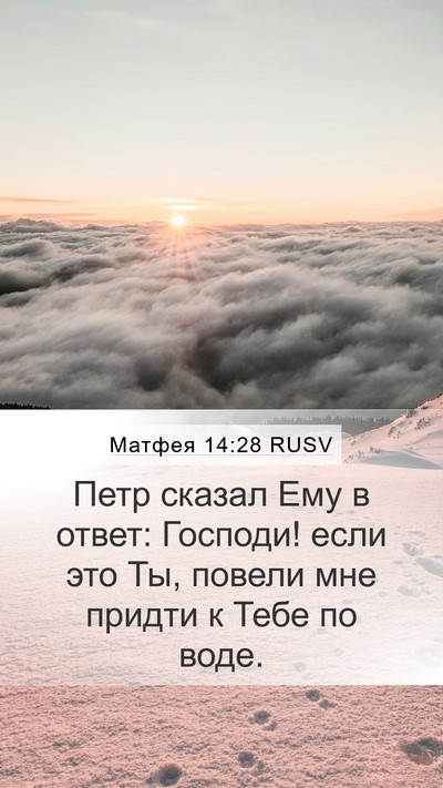 Матфея 14:28 RUSV Bible Verse Image