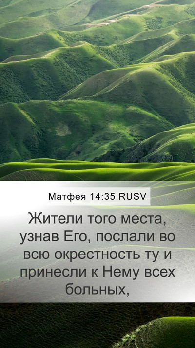 Матфея 14:35 RUSV Bible Verse Image