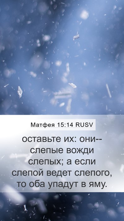 Матфея 15:14 RUSV Bible Verse Image