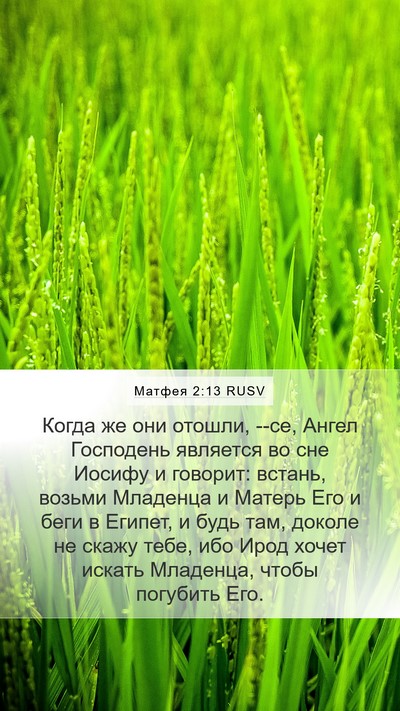 Матфея 2:13 RUSV Bible Verse Image