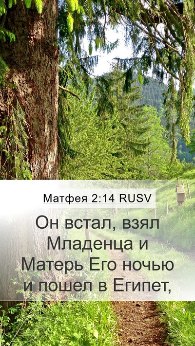 Матфея 2:14 RUSV Mobile Phone Wallpaper - Он встал, взял Младенца и - Mobile Bible Verse Wallpaper