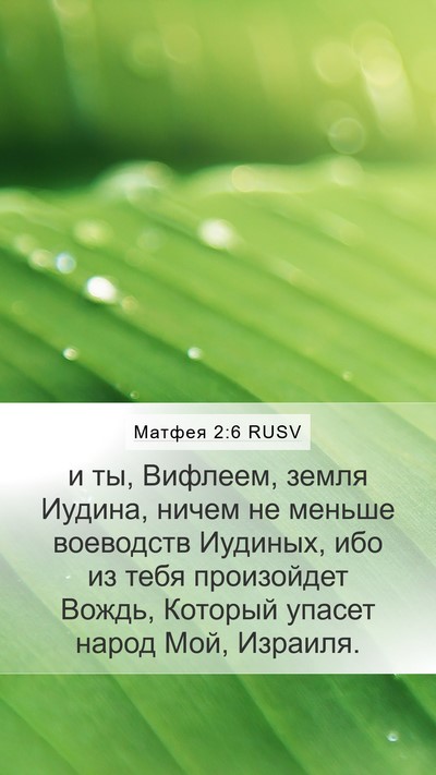 Матфея 2:6 RUSV Bible Verse Image