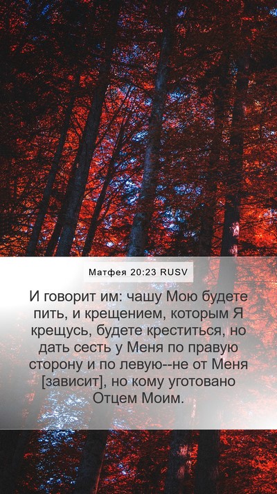 Матфея 20:23 RUSV Bible Verse Image