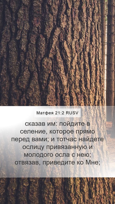 Матфея 21:2 RUSV Mobile Phone Wallpaper - сказав им: пойдите в - Mobile Bible Verse Wallpaper