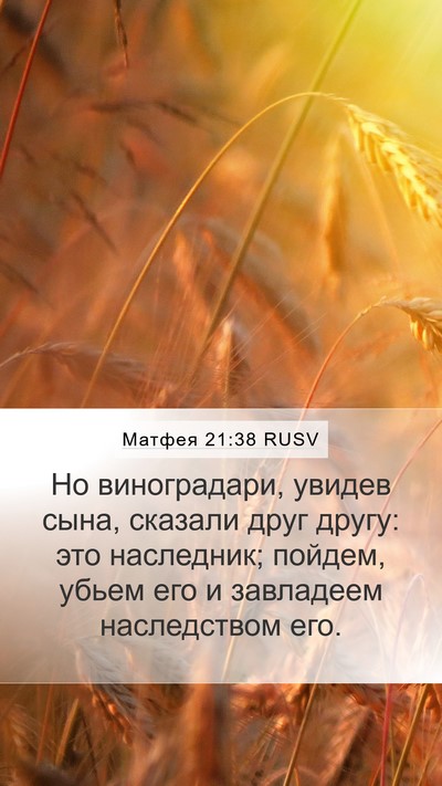 Матфея 21:38 RUSV Bible Verse Image