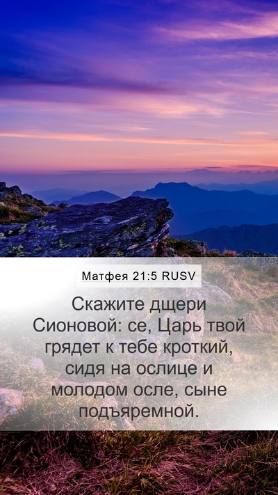 Матфея 21:5 RUSV Bible Verse Image