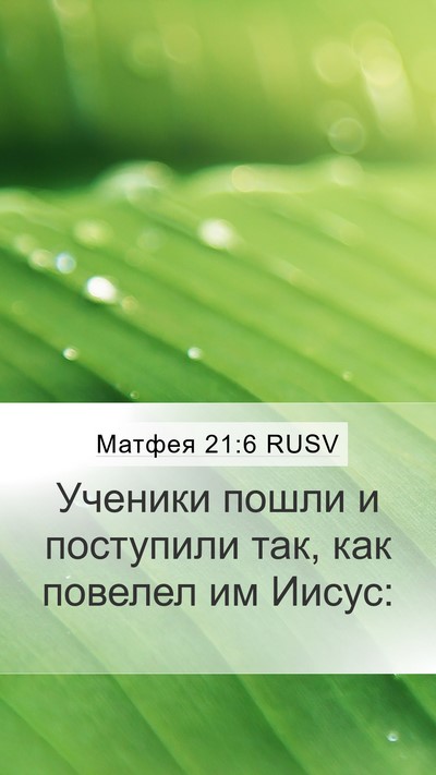 Матфея 21:6 RUSV Bible Verse Image