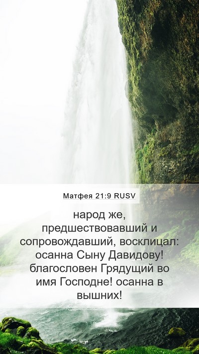 Матфея 21:9 RUSV Bible Verse Image