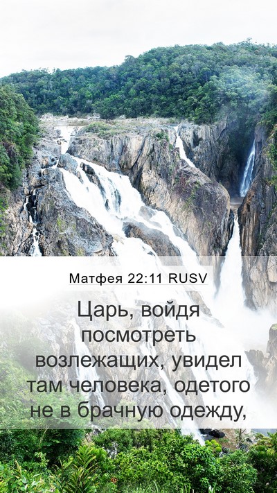 Матфея 22:11 RUSV Bible Verse Image