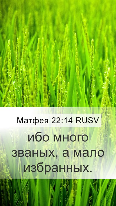 Матфея 22:14 RUSV Bible Verse Image