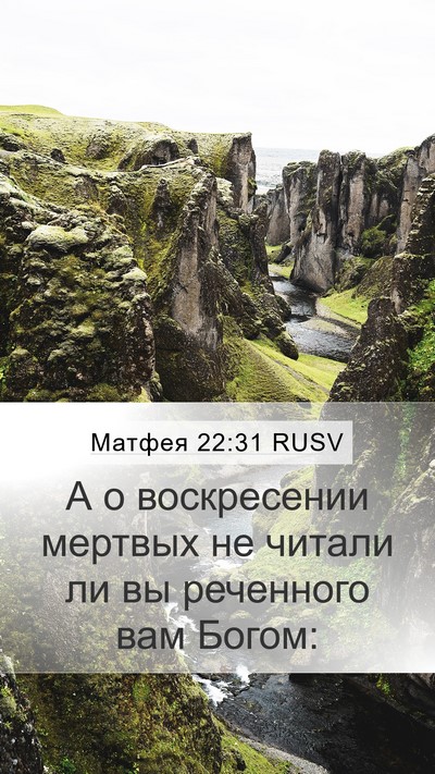 Матфея 22:31 RUSV Bible Verse Image