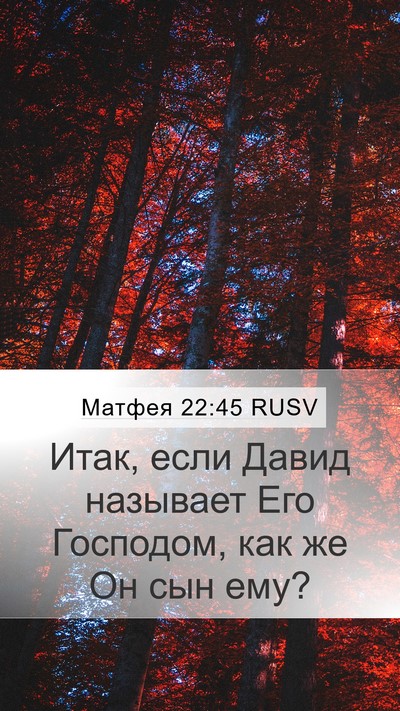 Матфея 22:45 RUSV Mobile Phone Wallpaper - Итак, если Давид называет - Mobile Bible Verse Wallpaper