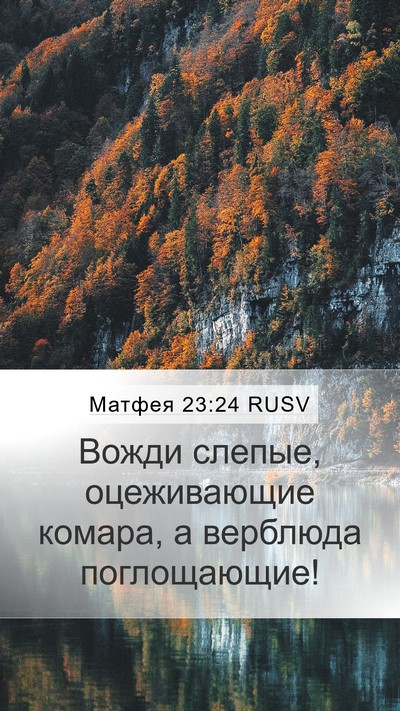 Матфея 23:24 RUSV Bible Verse Image