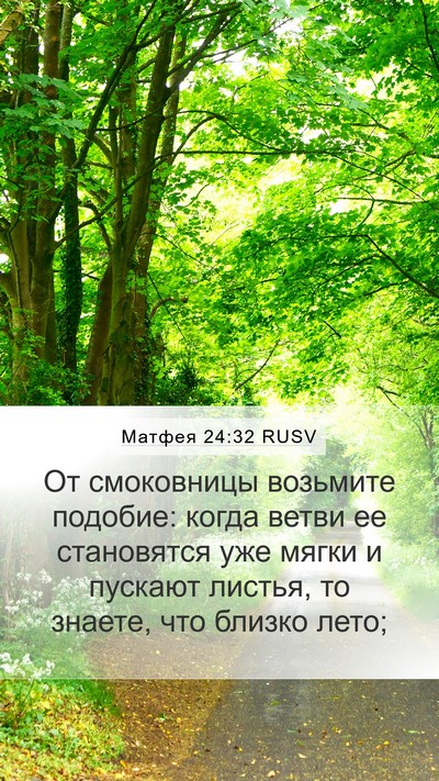 Матфея 24:32 RUSV Bible Verse Image