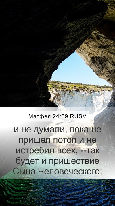 Матфея 24:39 RUSV Bible Verse Image