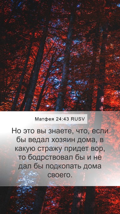 Матфея 24:43 RUSV Bible Verse Image