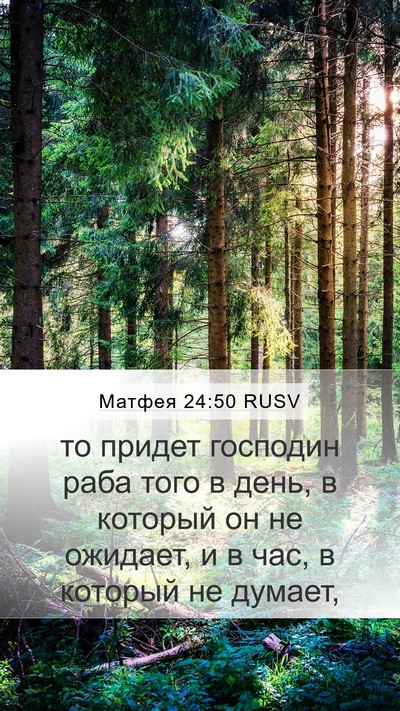 Матфея 24:50 RUSV Bible Verse Image