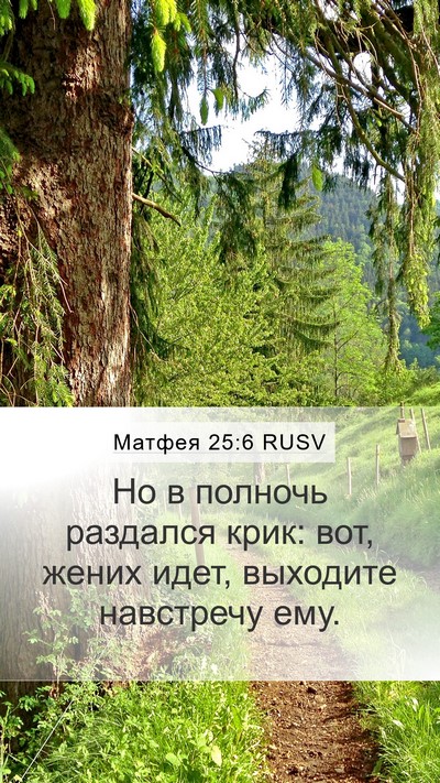 Матфея 25:6 RUSV Bible Verse Image