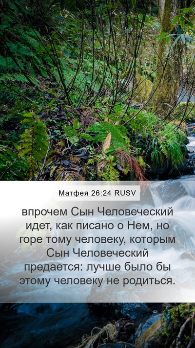 Матфея 26:24 RUSV Bible Verse Image