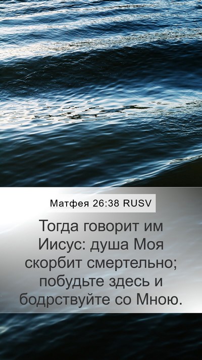 Матфея 26:38 RUSV Bible Verse Image