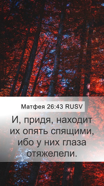 Матфея 26:43 RUSV Bible Verse Image