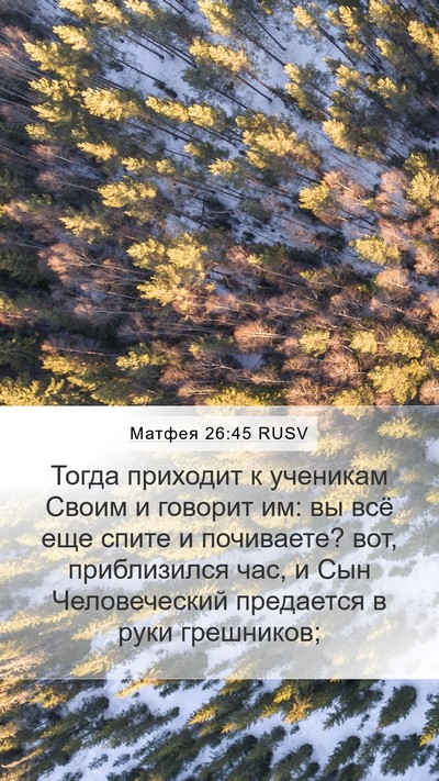 Матфея 26:45 RUSV Bible Verse Image