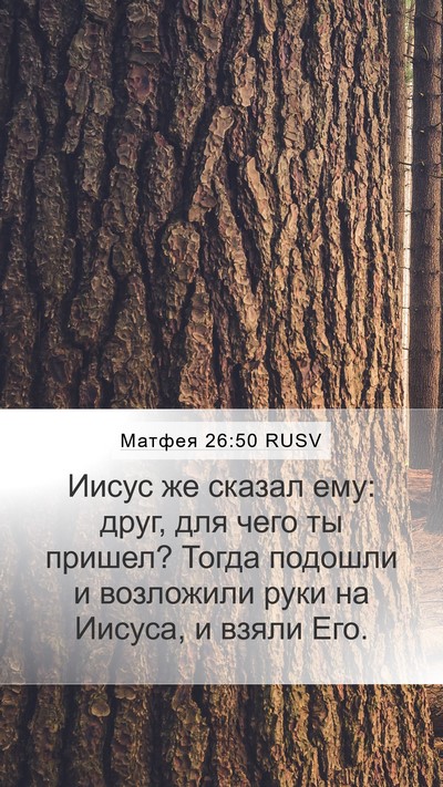 Матфея 26:50 RUSV Bible Verse Image