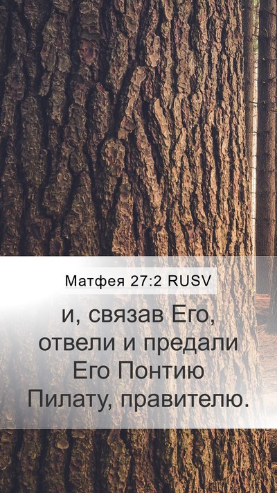 Матфея 27:2 RUSV Bible Verse Image