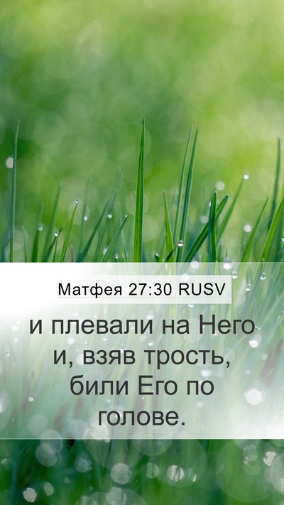 Матфея 27:30 RUSV Bible Verse Image