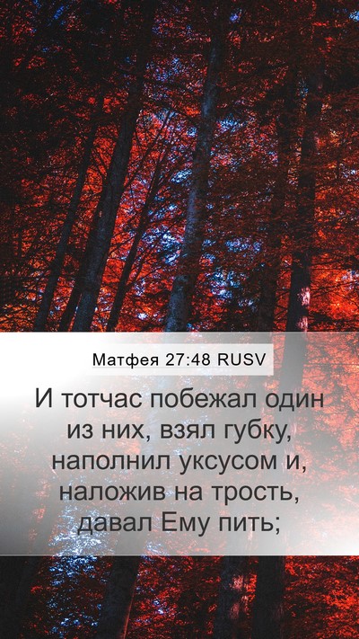 Матфея 27:48 RUSV Mobile Phone Wallpaper - И тотчас побежал один из - Mobile Bible Verse Wallpaper