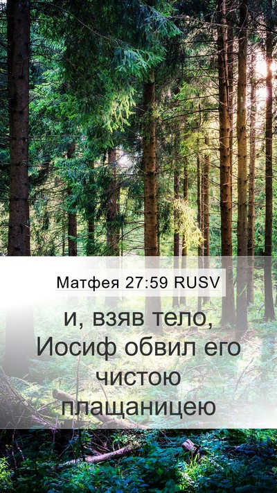 Матфея 27:59 RUSV Bible Verse Image