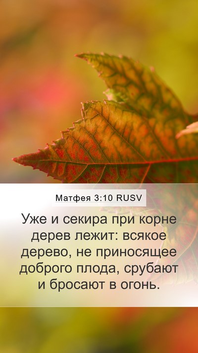 Матфея 3:10 RUSV Bible Verse Image