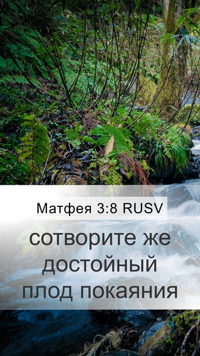 Матфея 3:8 RUSV Bible Verse Image
