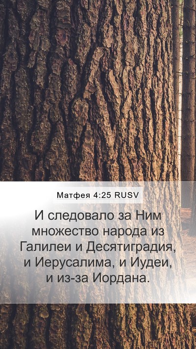 Матфея 4:25 RUSV Bible Verse Image