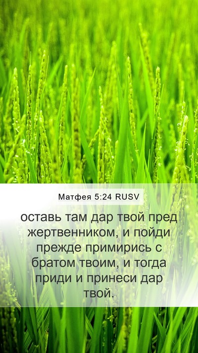 Матфея 5:24 RUSV Bible Verse Image
