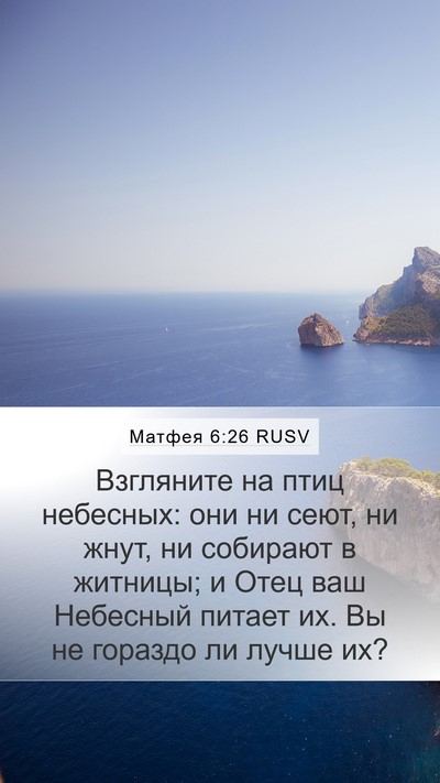 Матфея 6:26 RUSV Mobile Phone Wallpaper - Взгляните на птиц - Mobile Bible Verse Wallpaper