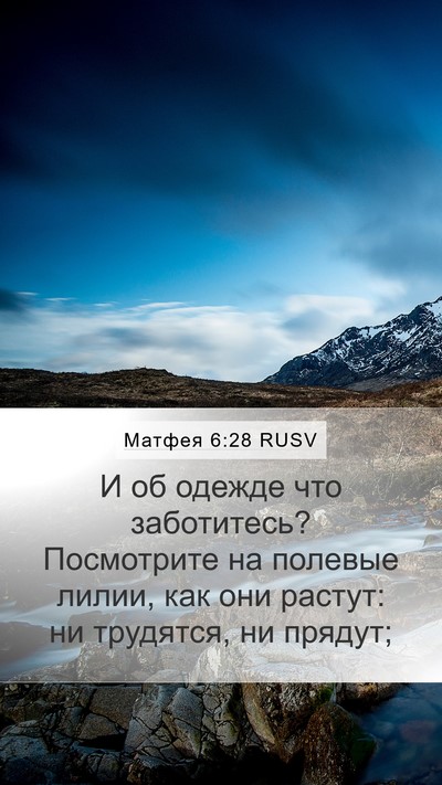 Матфея 6:28 RUSV Bible Verse Image