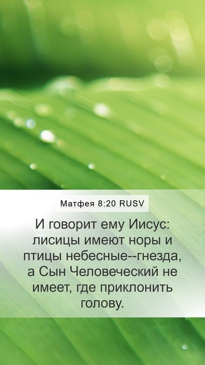 Матфея 8:20 RUSV Bible Verse Image