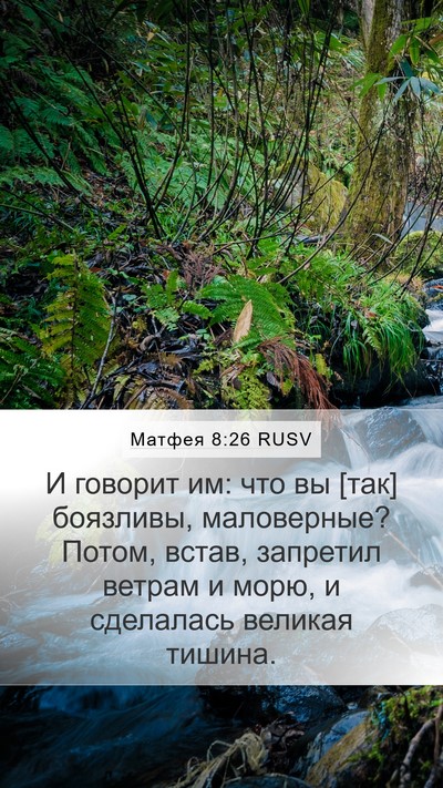 Матфея 8:26 RUSV Bible Verse Image
