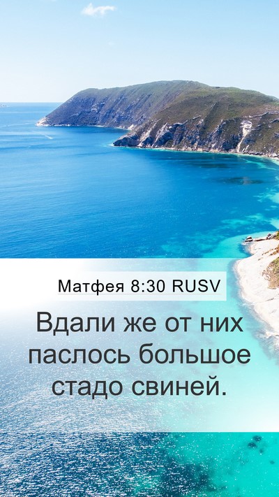 Матфея 8:30 RUSV Bible Verse Image