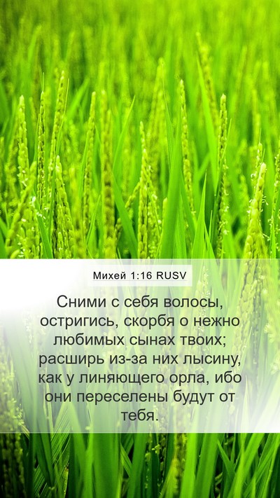 Михей 1:16 RUSV Mobile Phone Wallpaper - Сними с себя волосы, - Mobile Bible Verse Wallpaper