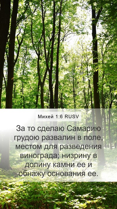Михей 1:6 RUSV Bible Verse Image